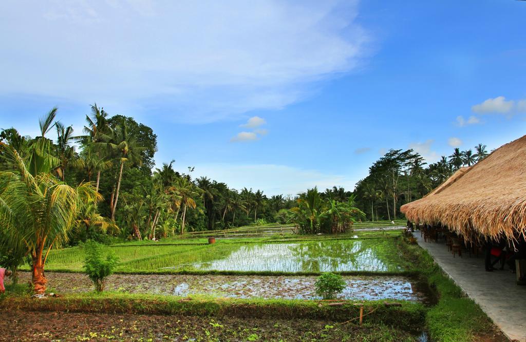 Sapulidi Resort Spa & Gallery Bali Ubud Extérieur photo