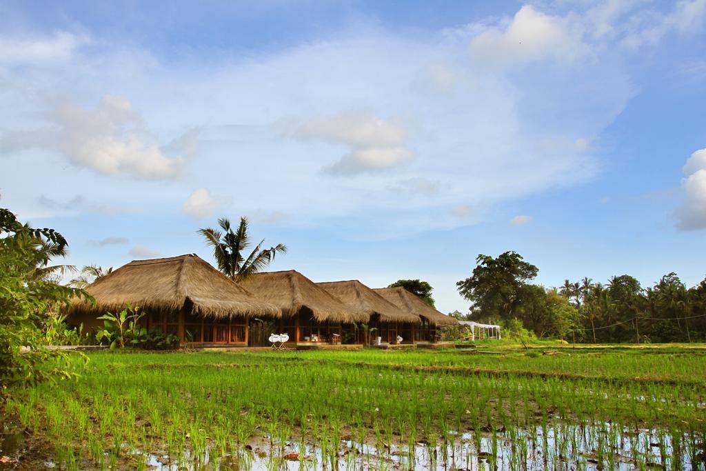 Sapulidi Resort Spa & Gallery Bali Ubud Extérieur photo