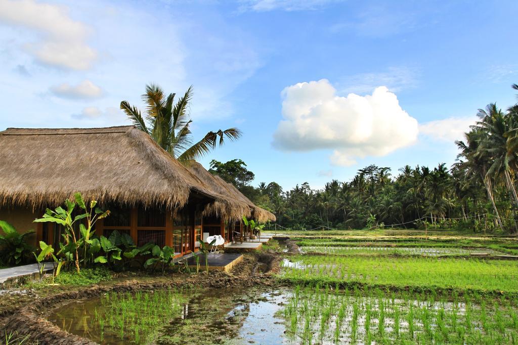 Sapulidi Resort Spa & Gallery Bali Ubud Extérieur photo