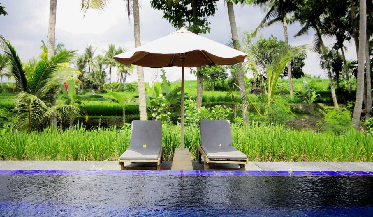 Sapulidi Resort Spa & Gallery Bali Ubud Extérieur photo